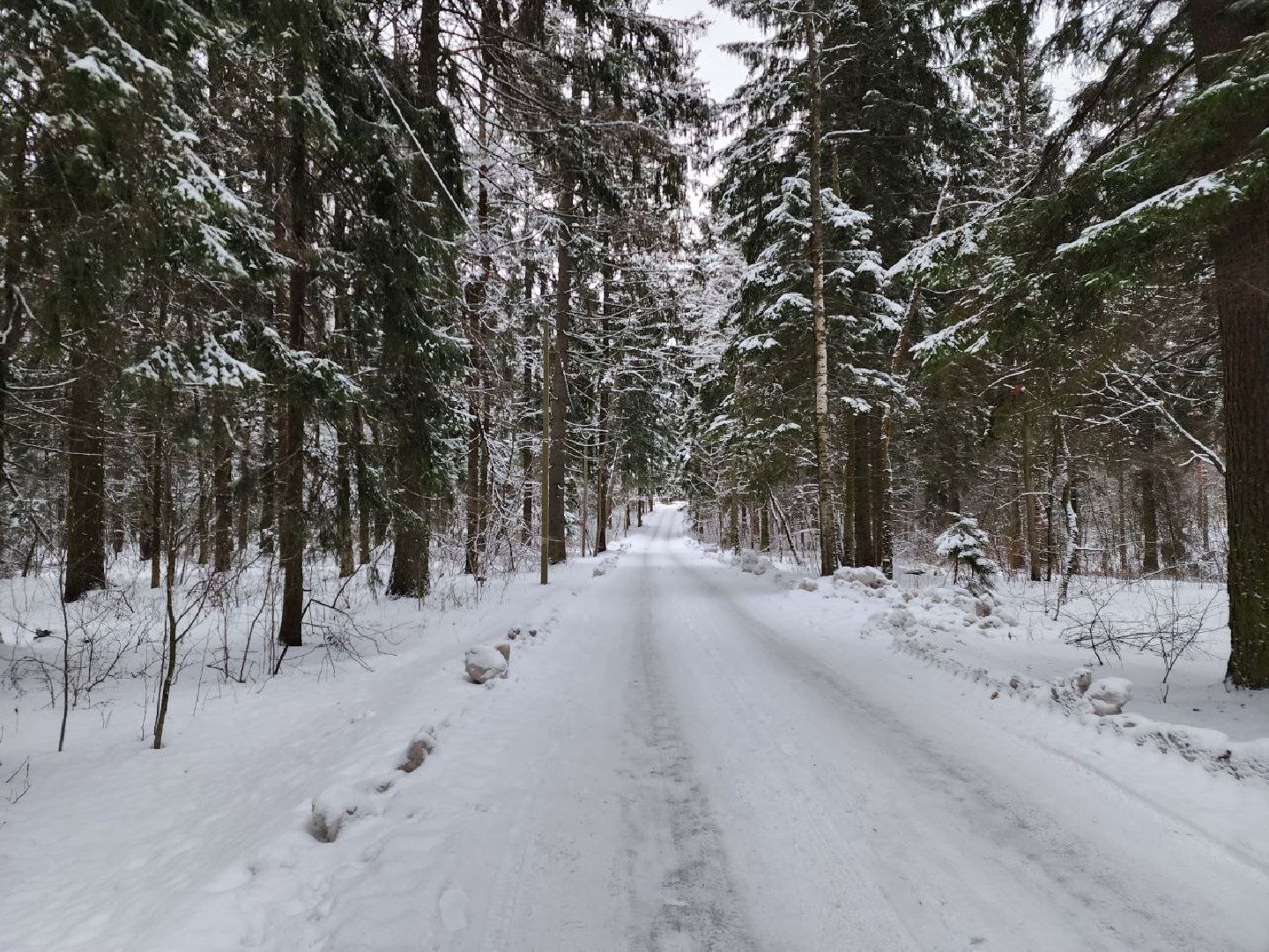 мытищи, экология, спасение животных, Алабай Хэлп, Река уча, марфино, лысково,