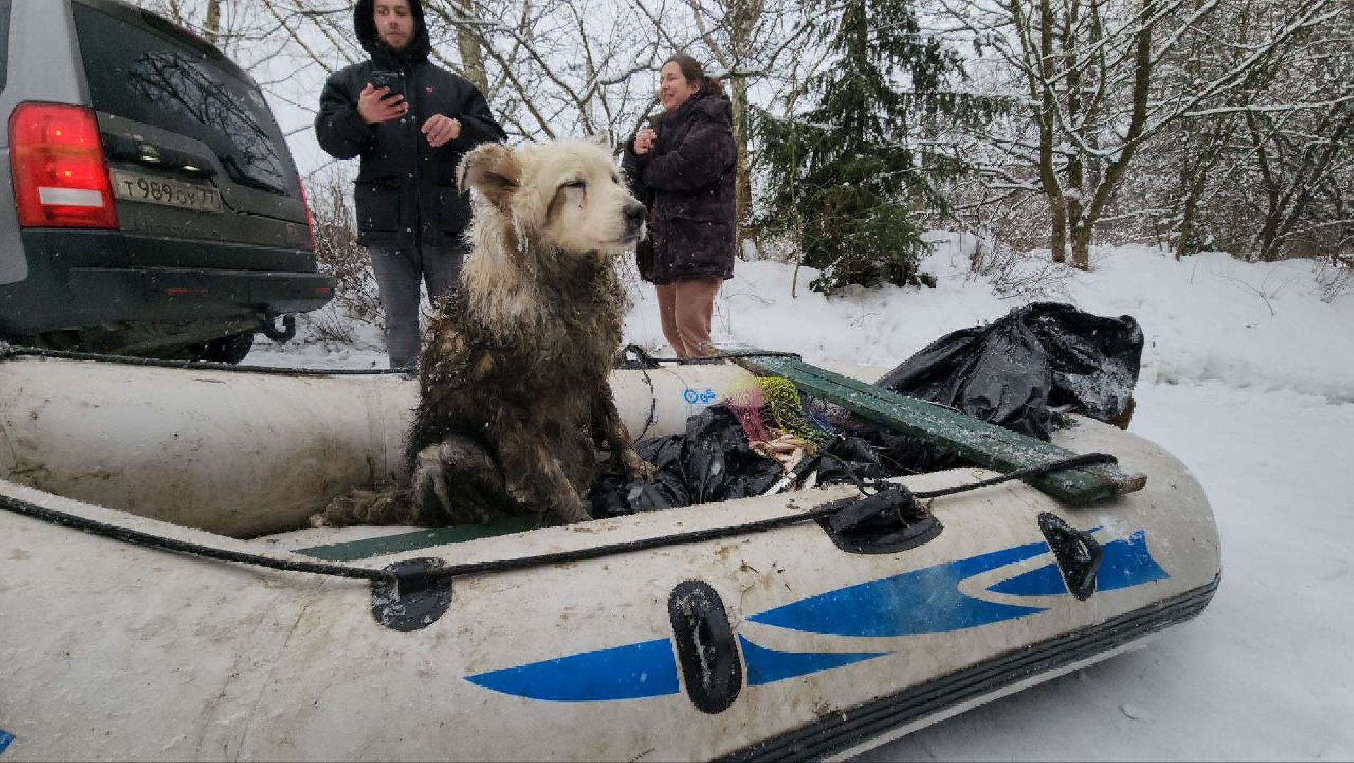 мытищи, экология, спасение животных, Алабай Хэлп, Река уча, марфино, лысково,