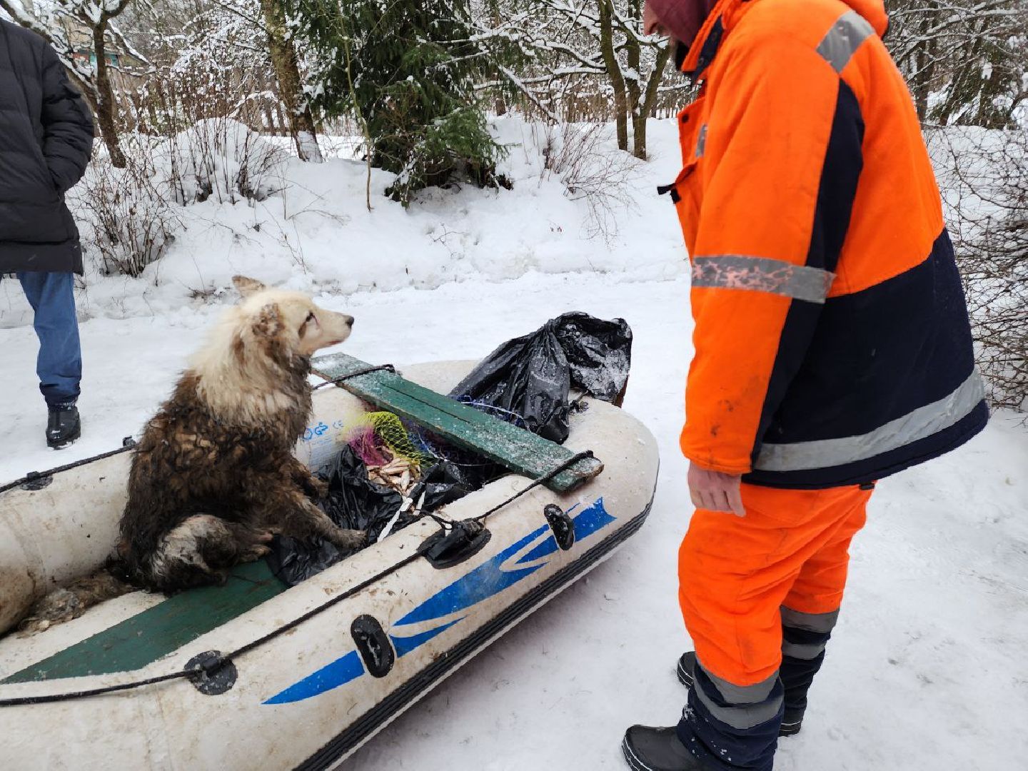 мытищи, экология, спасение животных, Алабай Хэлп, Река уча, марфино, лысково,