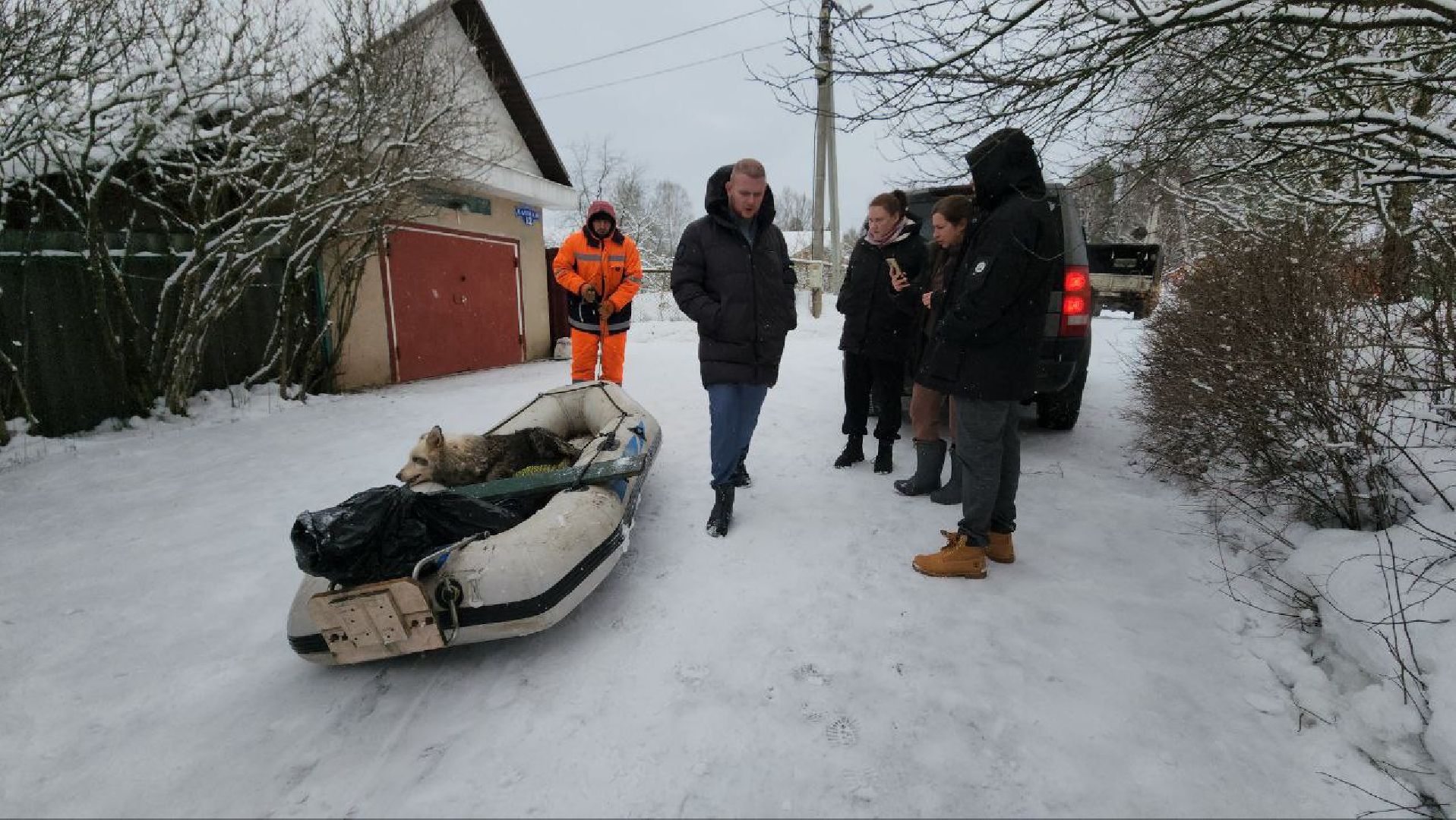 мытищи, экология, спасение животных, Алабай Хэлп, Река уча, марфино, лысково,