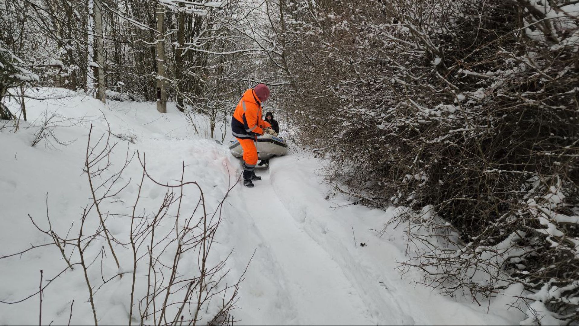мытищи, экология, спасение животных, Алабай Хэлп, Река уча, марфино, лысково,