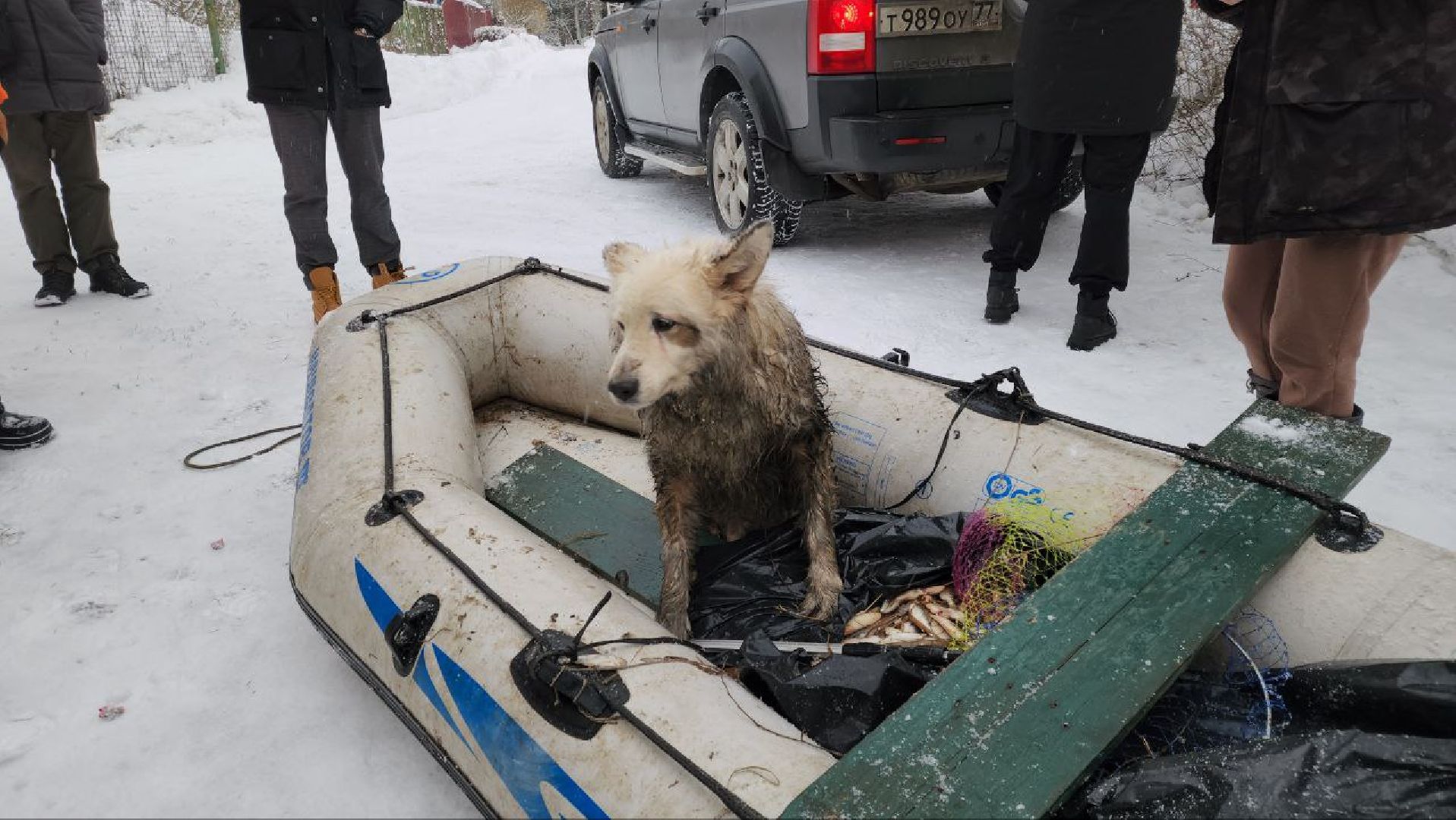 мытищи, экология, спасение животных, Алабай Хэлп, Река уча, марфино, лысково,