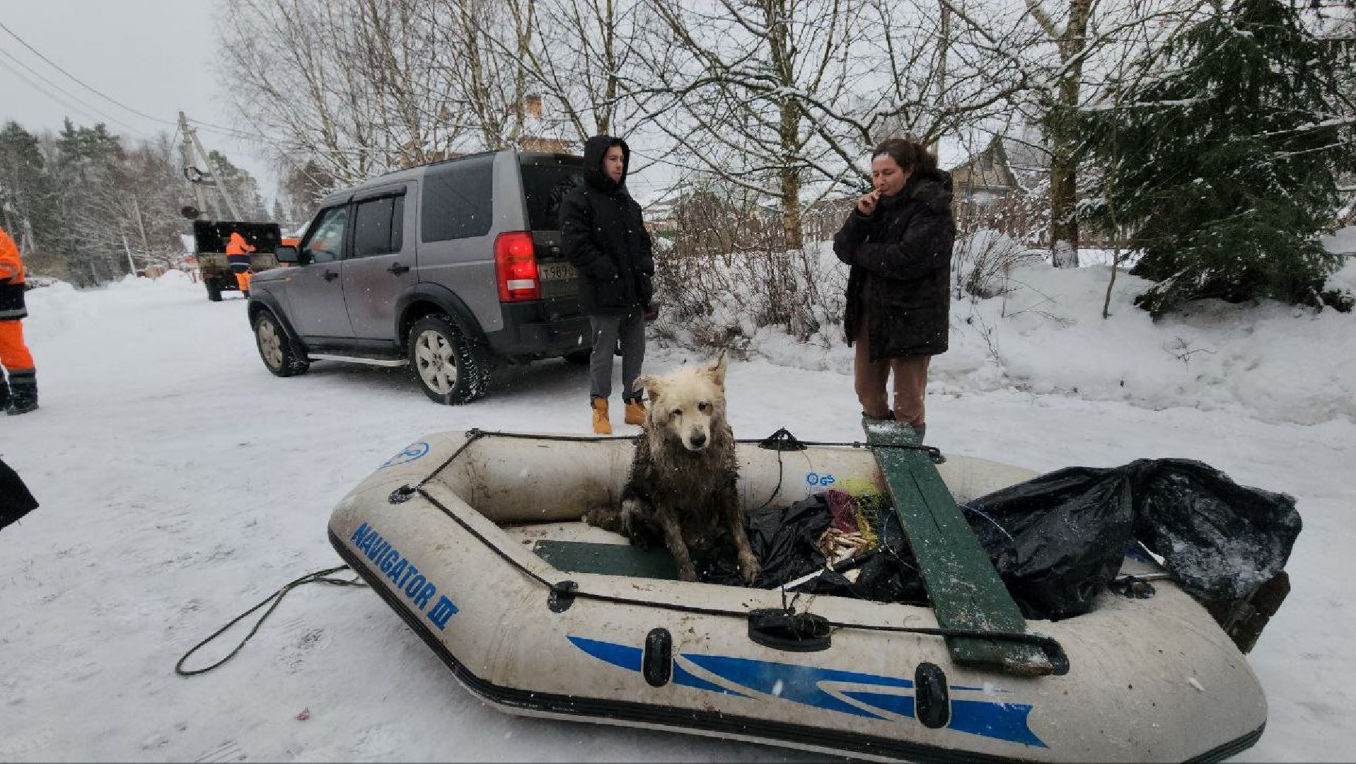 мытищи, экология, спасение животных, Алабай Хэлп, Река уча, марфино, лысково,