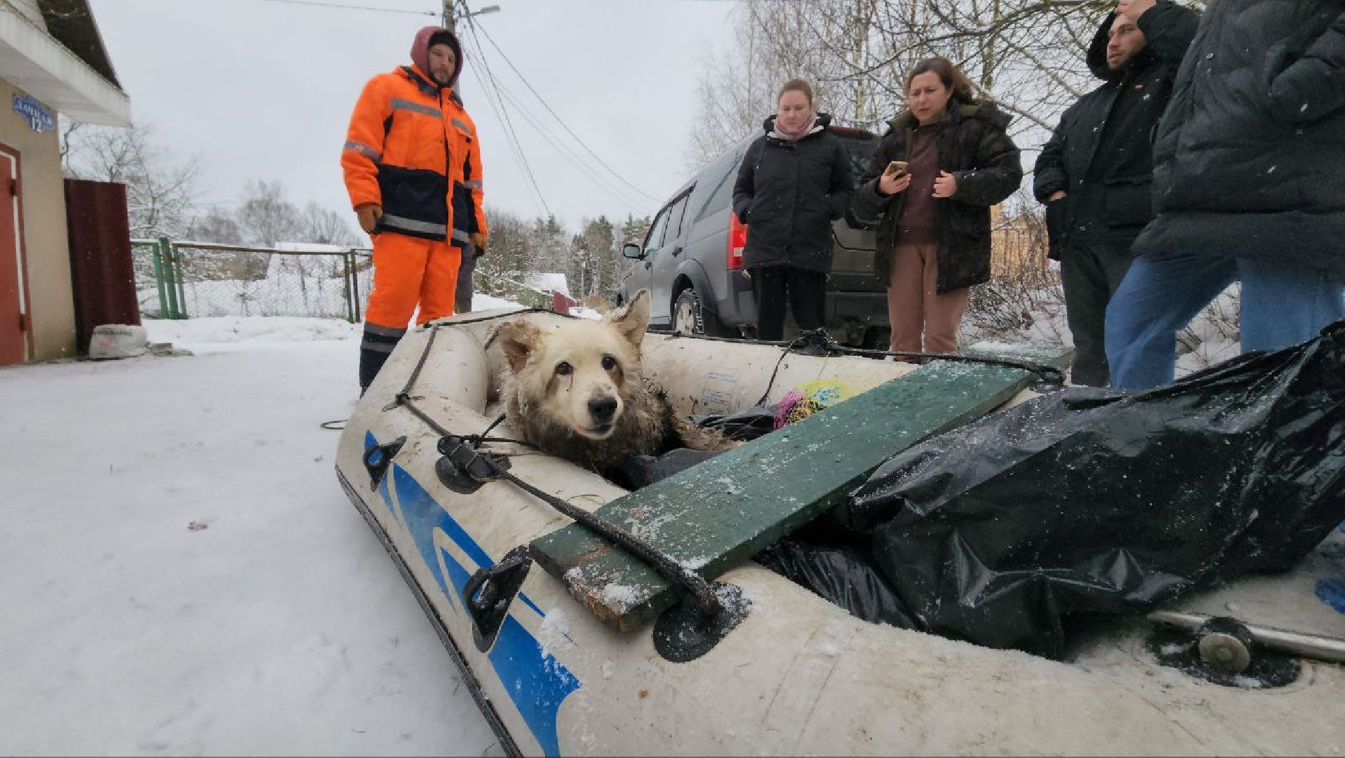 мытищи, экология, спасение животных, Алабай Хэлп, Река уча, марфино, лысково,