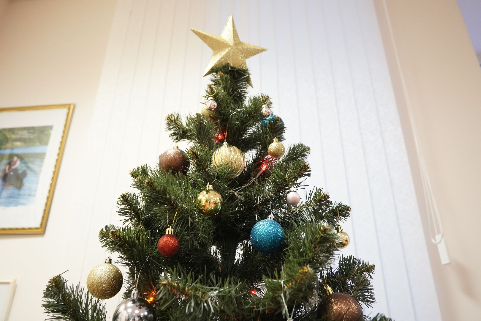 многодетные семьи, многомама, Рошаль, Большая Шатура, елка главы, подарки,