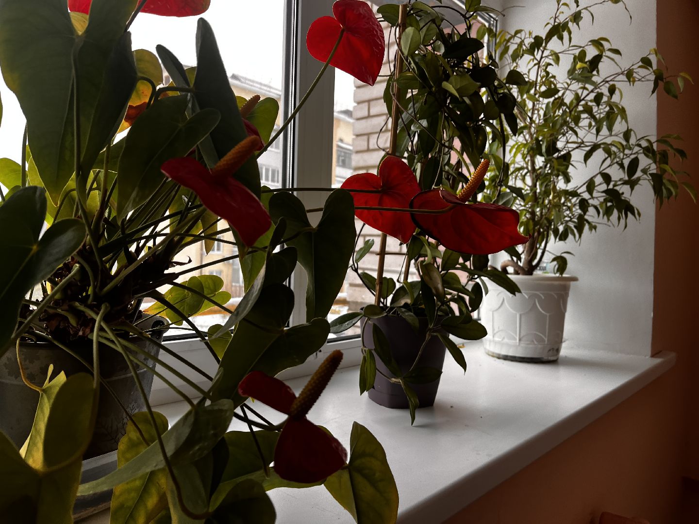 видео с коптера, истра, военный городок, благоустройство,