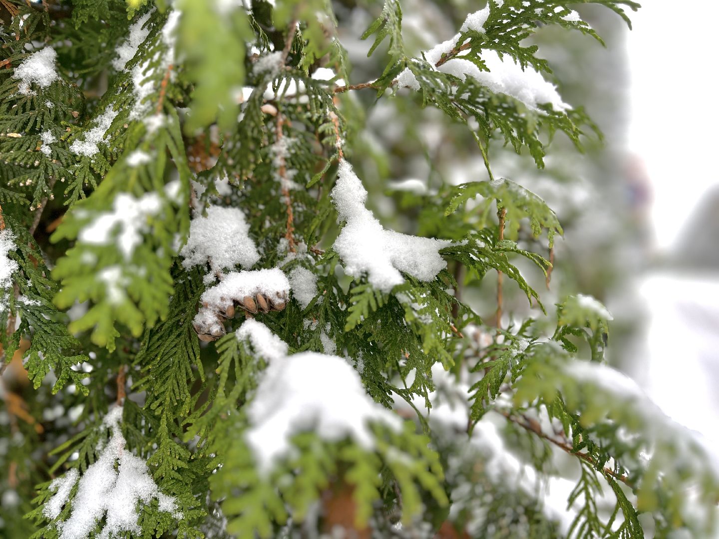 видео с коптера, истра, военный городок, благоустройство,