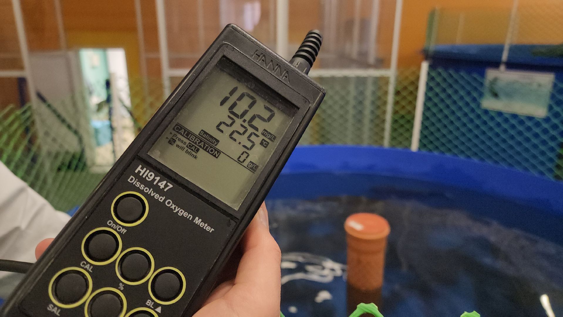 Наука, Подольск, Рыбы, Осетр, Виж им Эрнста,