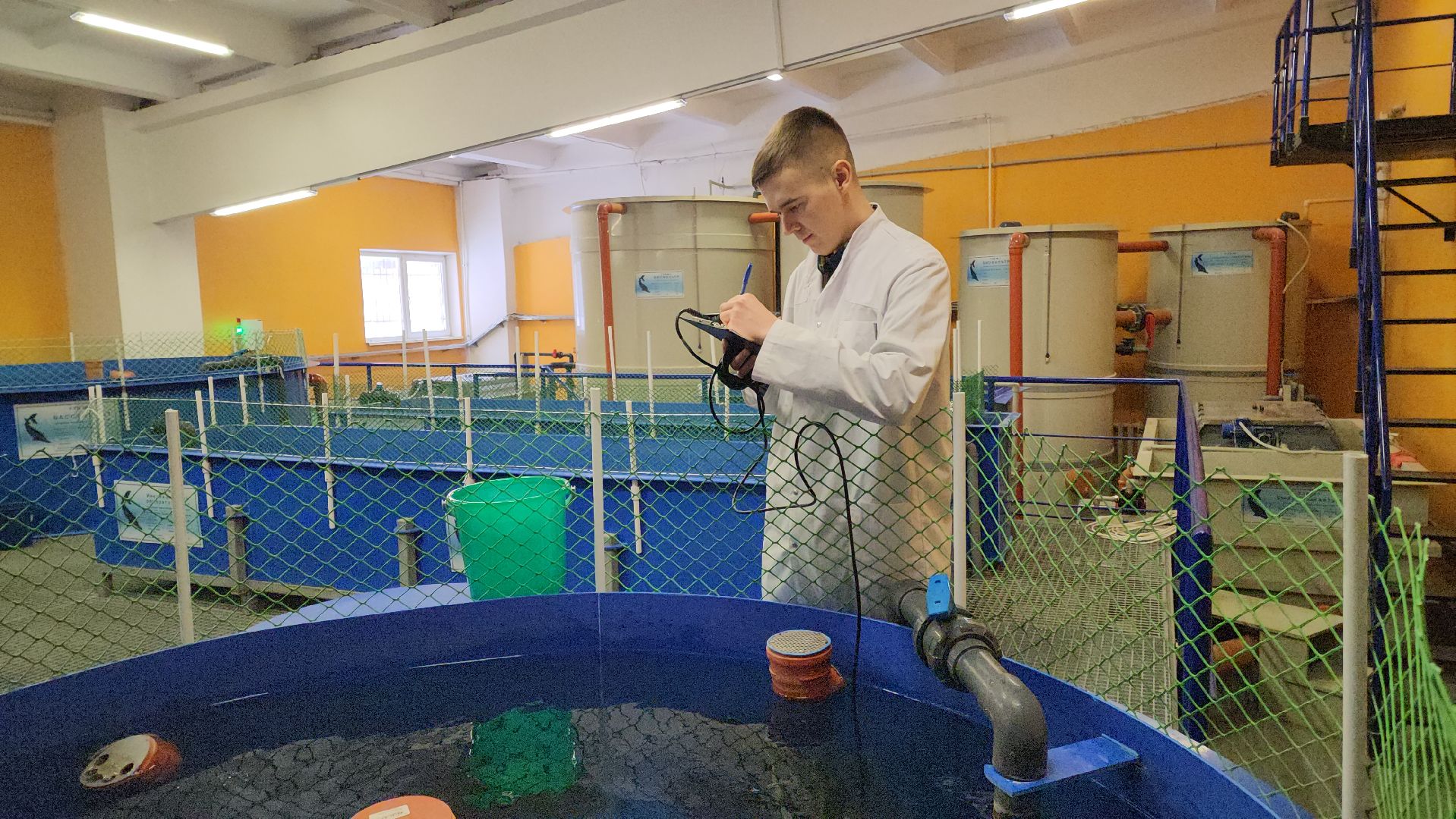 Наука, Подольск, Рыбы, Осетр, Виж им Эрнста,