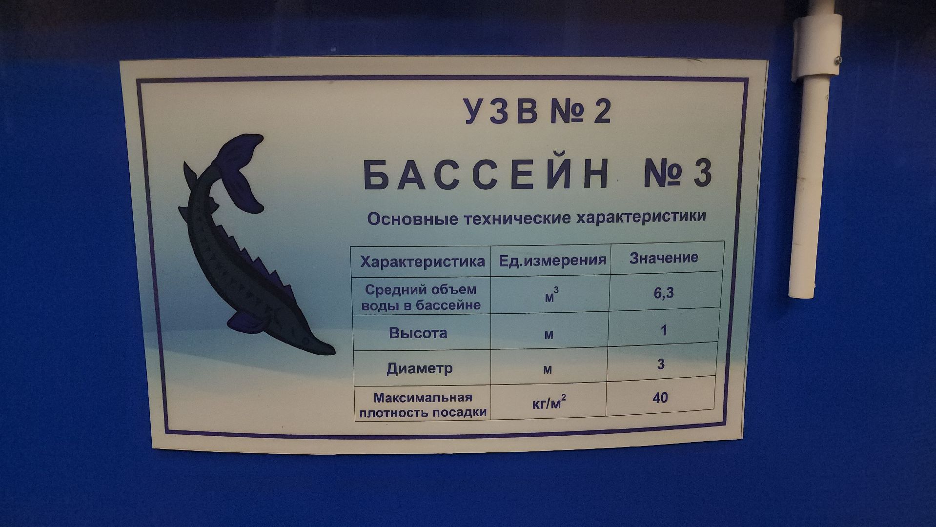 Наука, Подольск, Рыбы, Осетр, Виж им Эрнста,