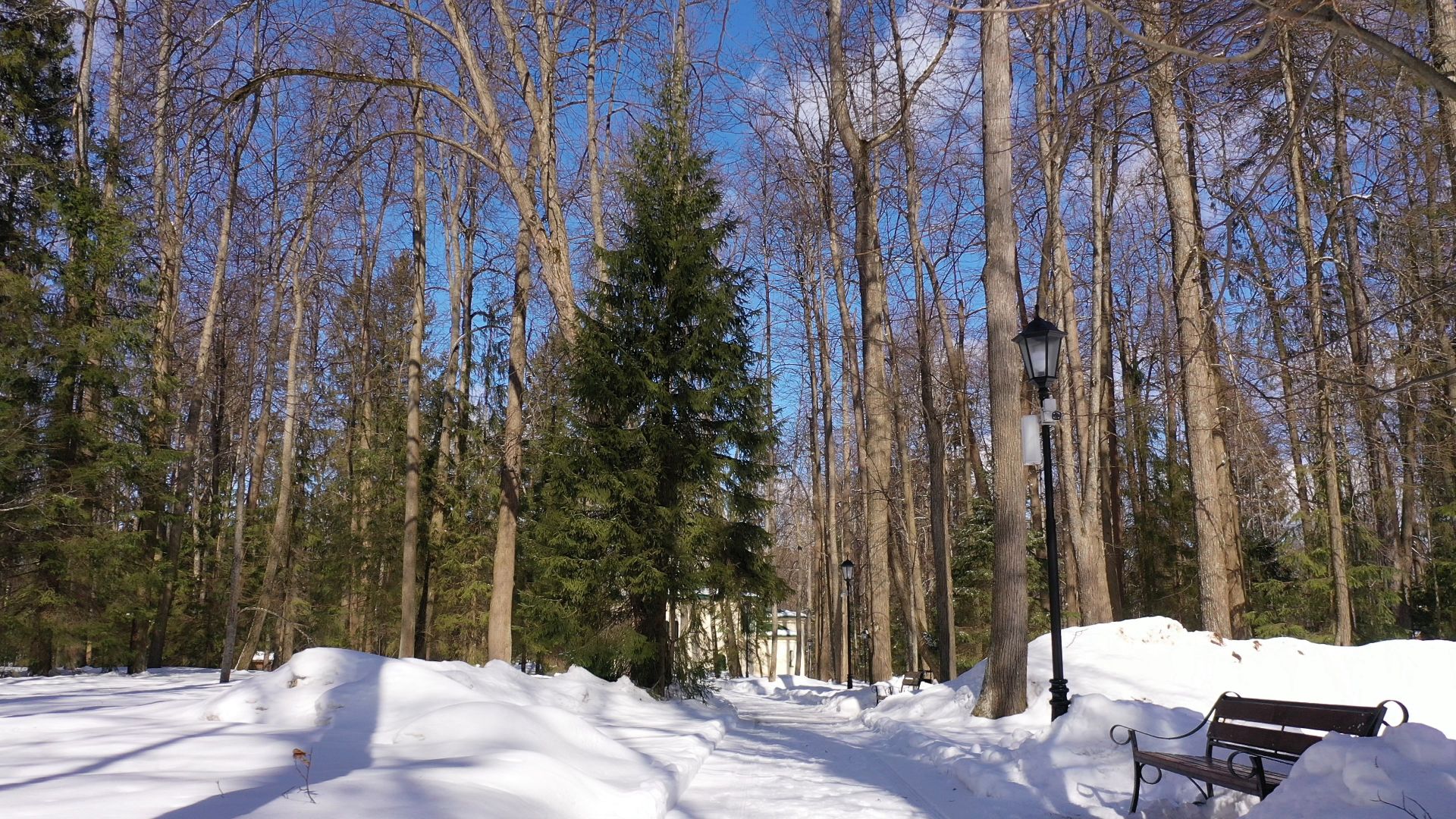 видео с коптера, сергиев посад, усадьба, культура,