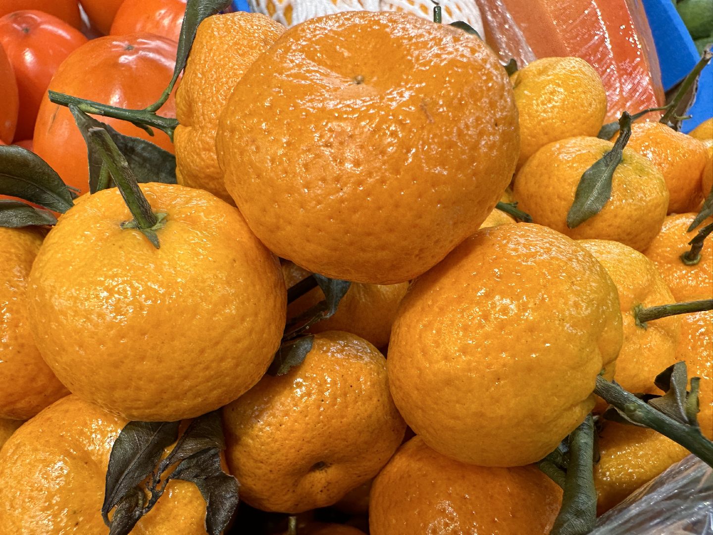 Одинцово, Новый год, зима в подмосковье,