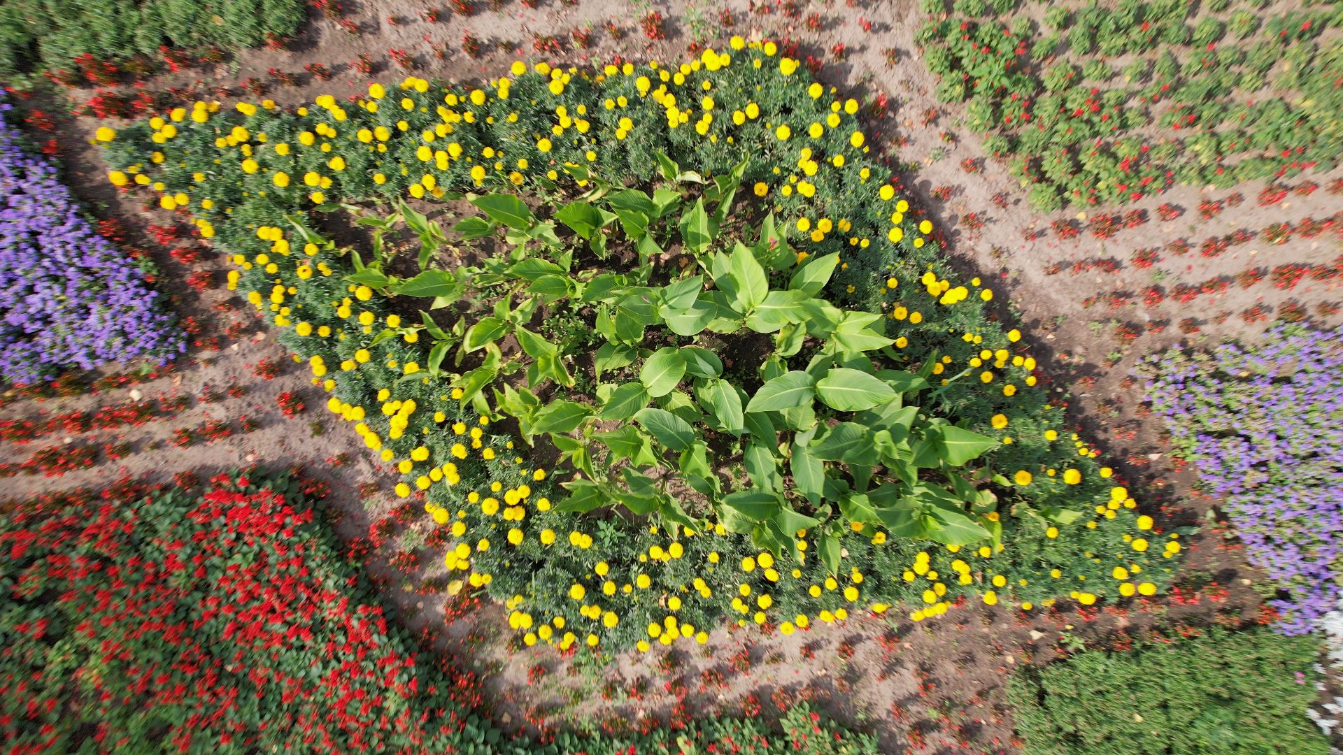 егорьевск, видео с коптера, культура, благоустройство,