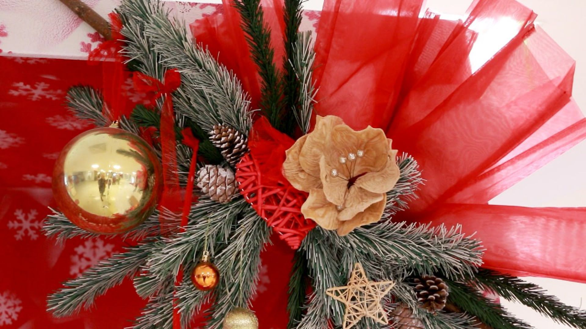 Солнечногорск, елка желаний, сергей куприк, Подарки, Дети, Акция,