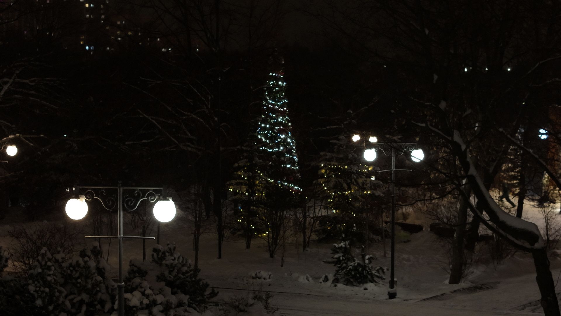 видео с коптера, химки, парки, благоустройство, зима в подмосковье,