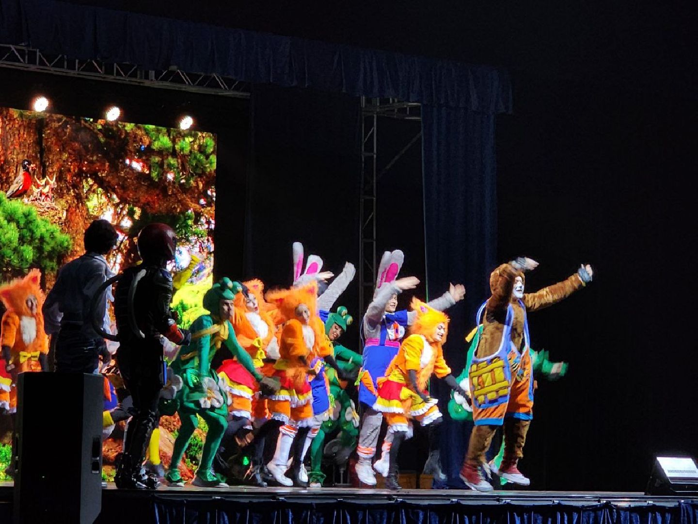 тодес, елка главы, новый год, детский праздник,видное,