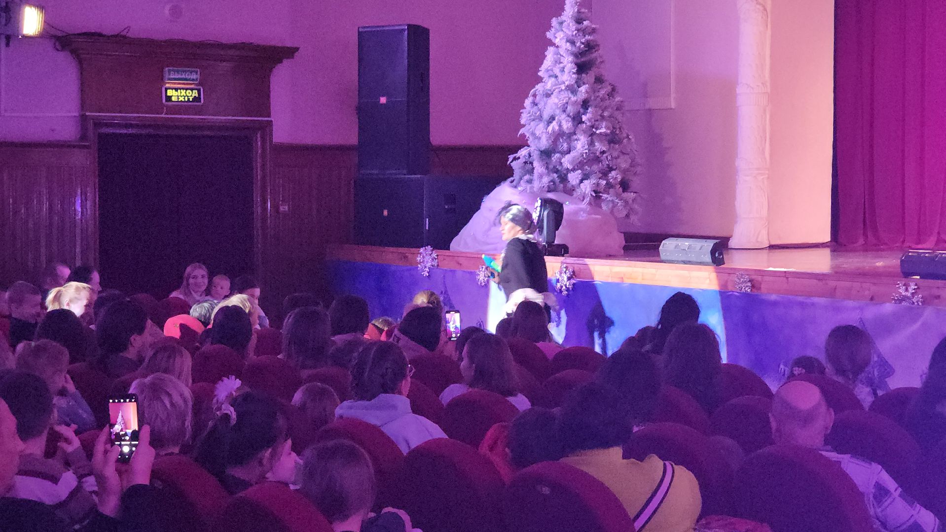 кашира, новогодняя сказка, спектакль, Таинственный лес или в поисках Чебурашки, фантазия, арт-вахта, дк им ленина, новый год,