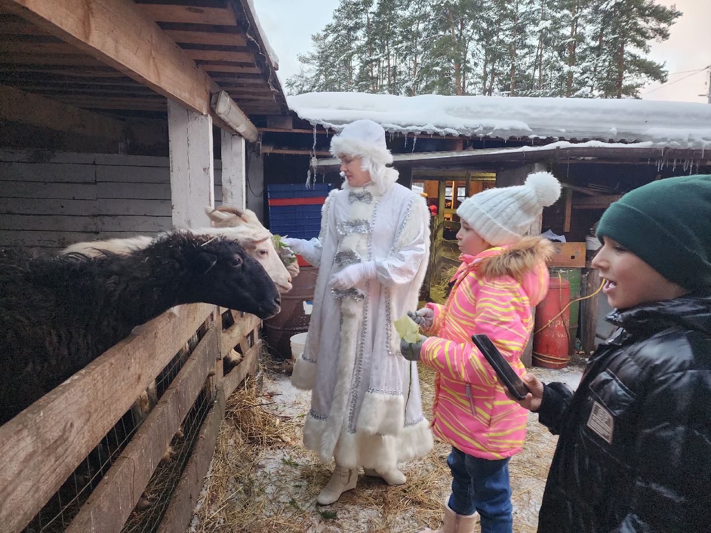 пушкино, рождество, дети, программа, веселые старты, спектакль,