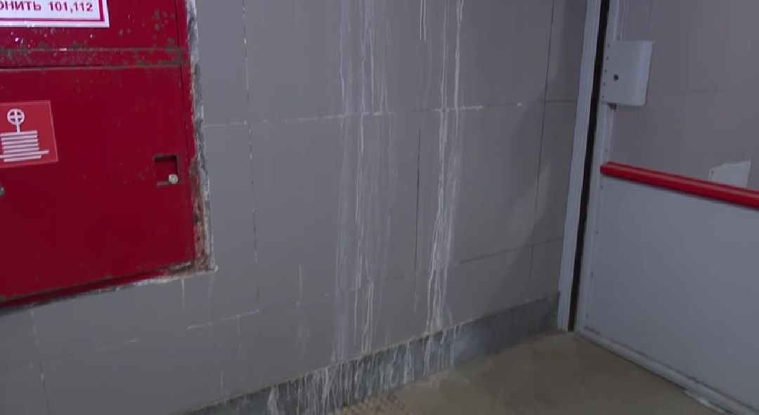 Реутов, железная дорога, ЦППК, нарушения, грязь, электрички