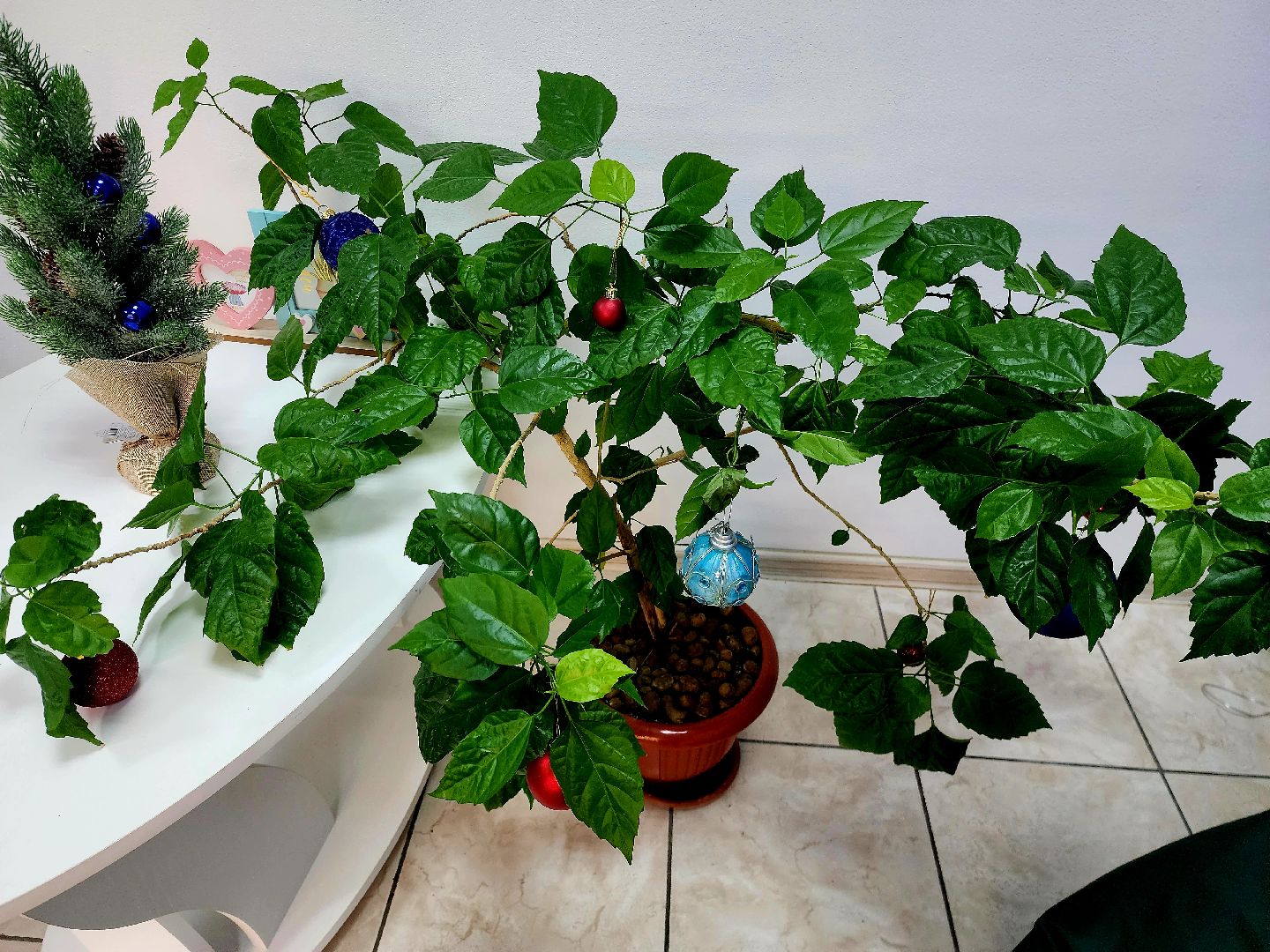 шатура, психолог, городской округ люди, новый год, 2024,предсказание,