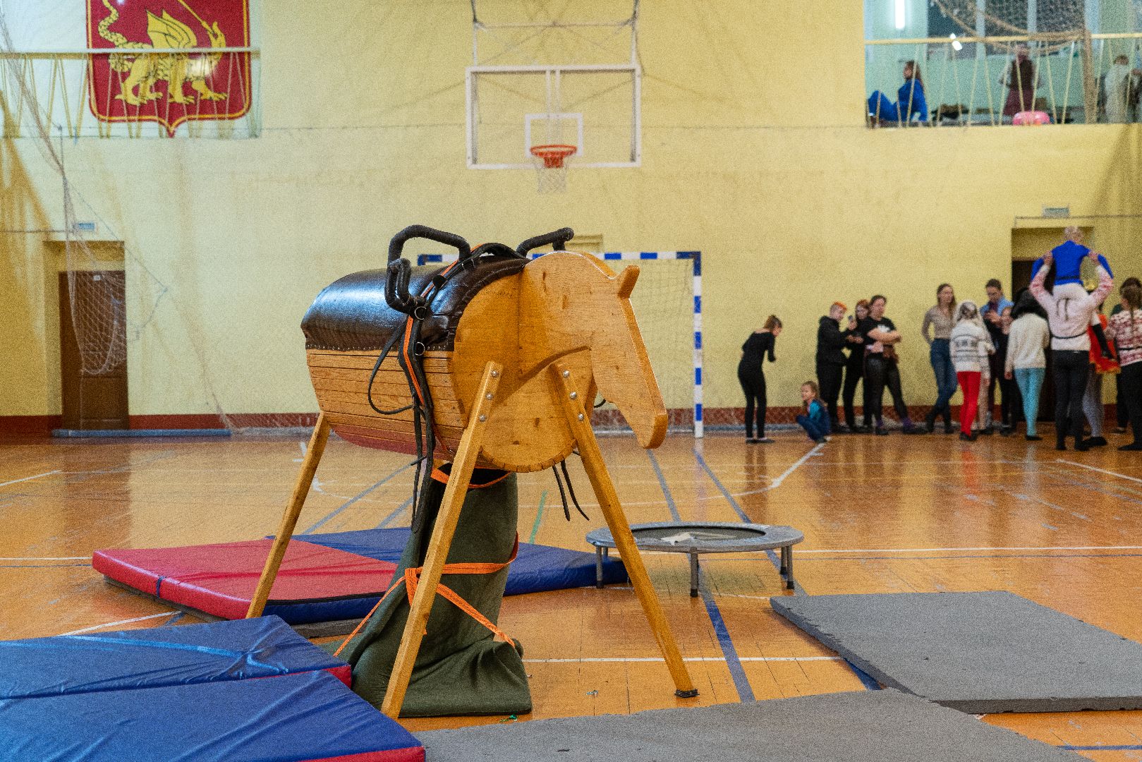 Егорьевск, конный спорт, вольтижировка, зимние узоры