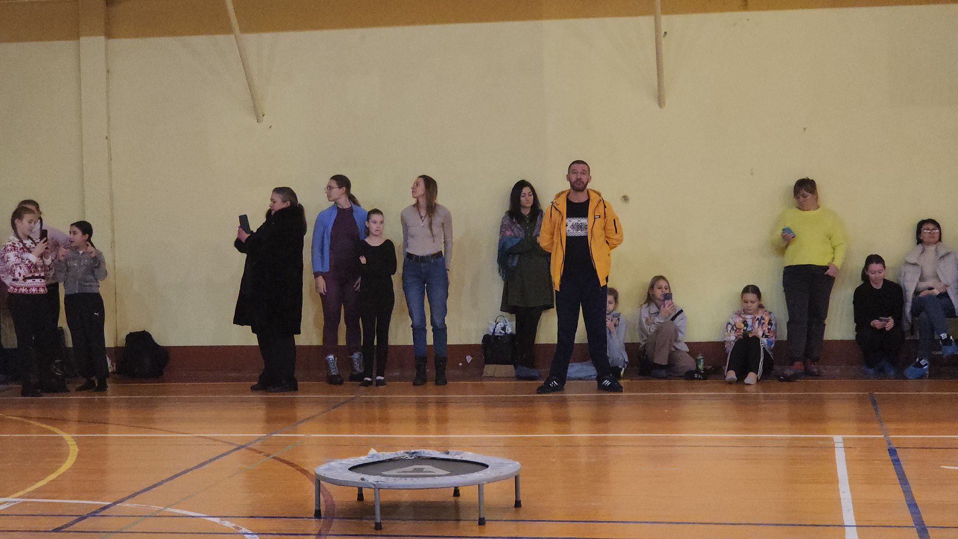 Егорьевск, конный спорт, вольтижировка, зимние узоры