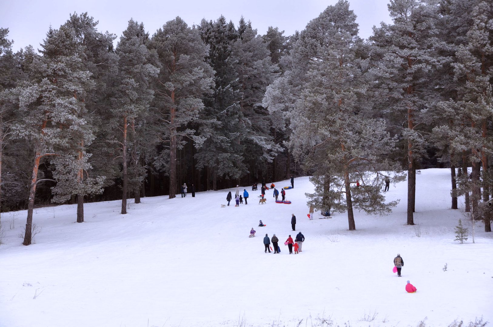 Звенигород, Зимние развлечения, История спорта,