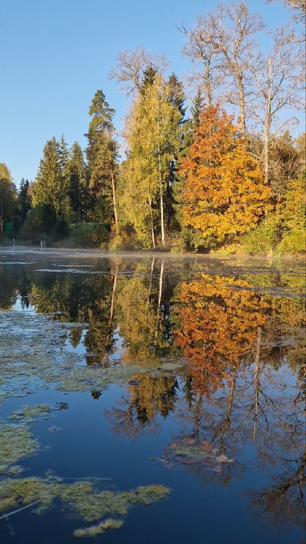Звенигород, Не просто походы, Туризм,
