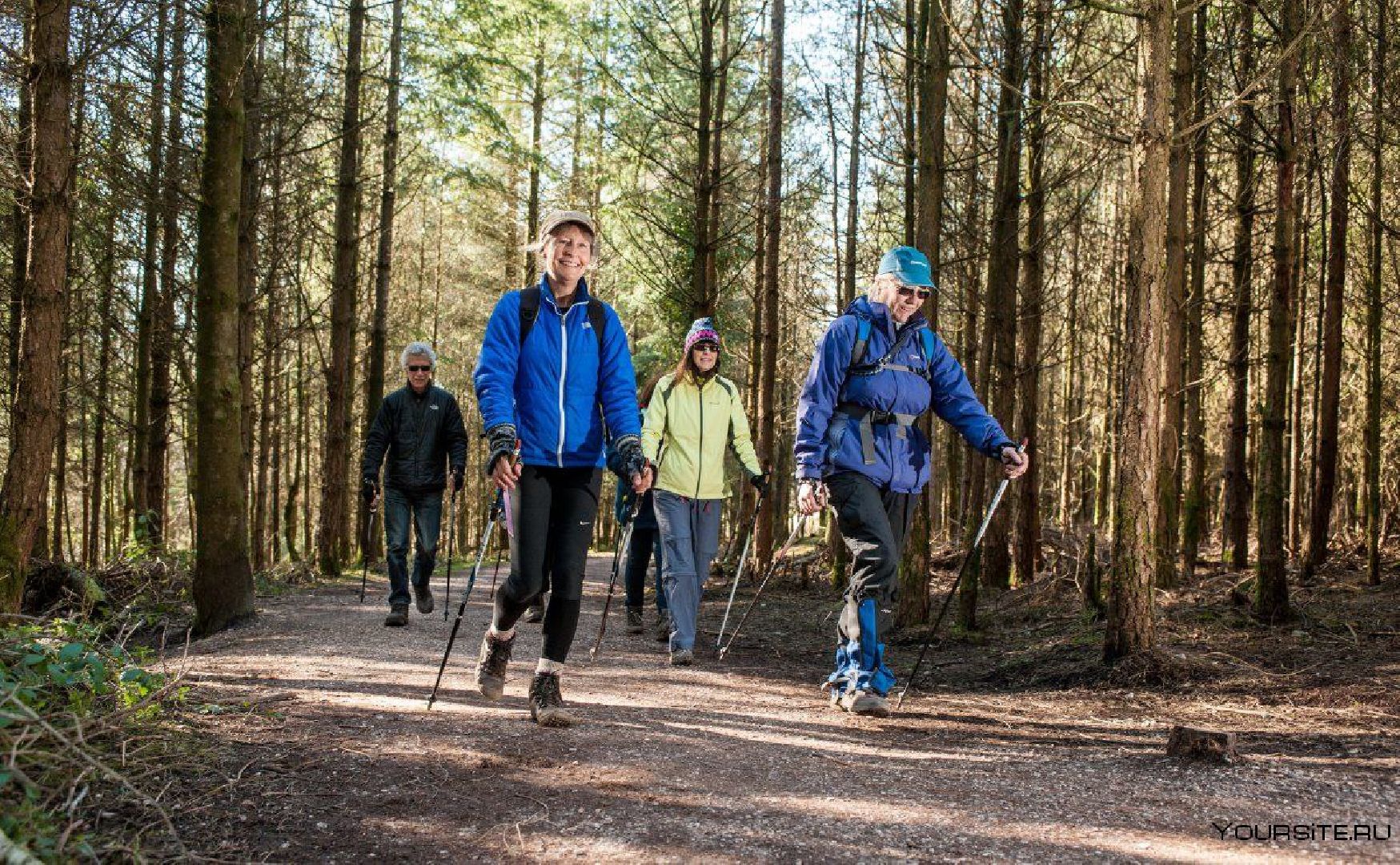 Звенигород, Не просто походы, Туризм,