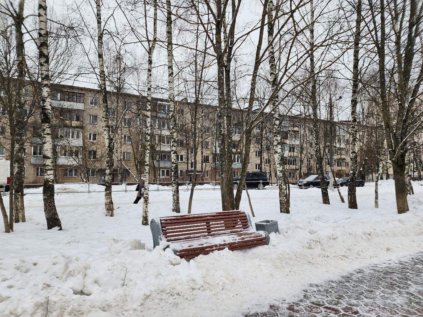 погода, каникулы, мороз,