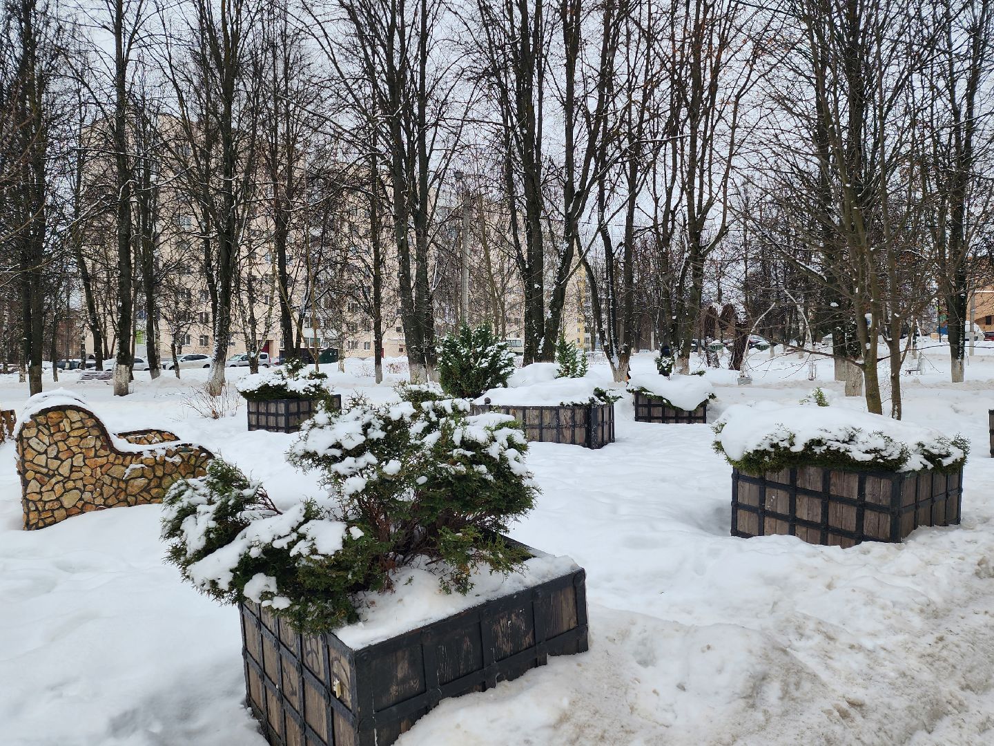 погода, каникулы, мороз,