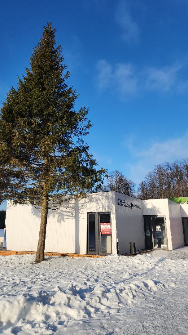 забег, пробежка, парк, зимний отдых, зимний сезон, зимний период, олимпийские звезды, паралимпийцы, паралимпийские игры, электросталь, мой город, новый год,