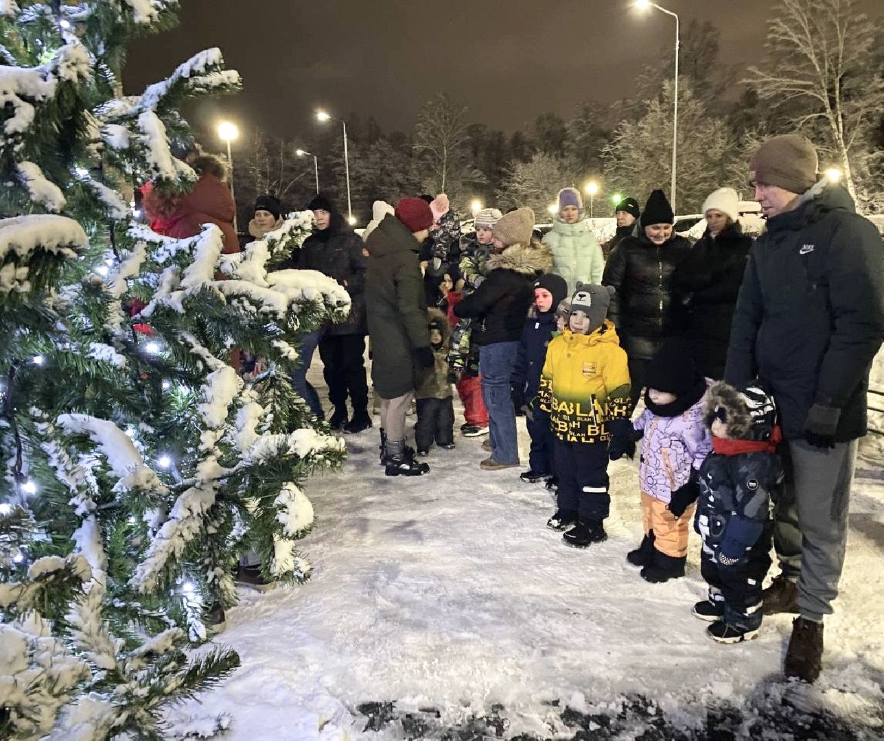 Балашиха, Подмосковье, Новый год, Елки, Микрорайон Павлино,