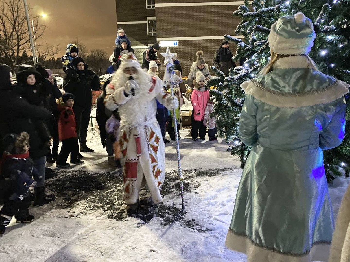 Балашиха, Подмосковье, Новый год, Елки, Микрорайон Павлино,