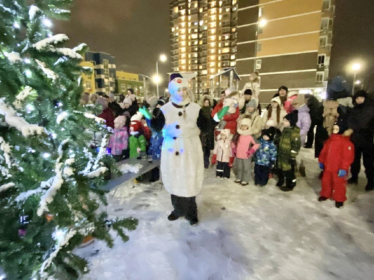 Балашиха, Подмосковье, Новый год, Елки, Микрорайон Павлино,