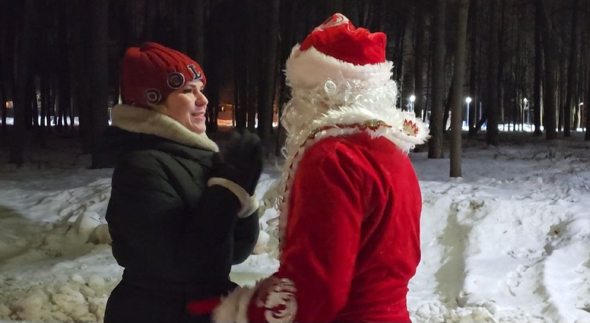 новый год, 2024 год, парки подмосковья, видное, праздник,