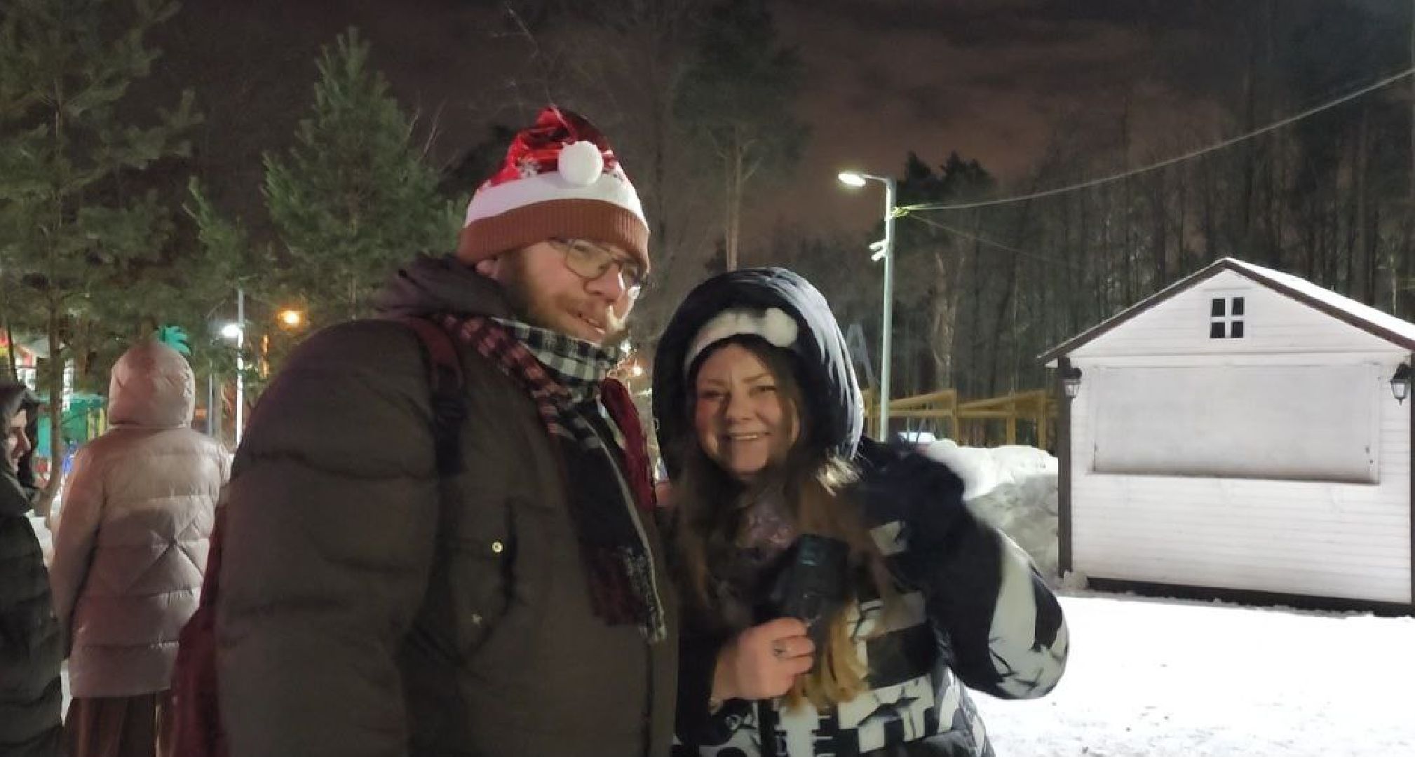 новый год, 2024 год, парки подмосковья, видное, праздник,