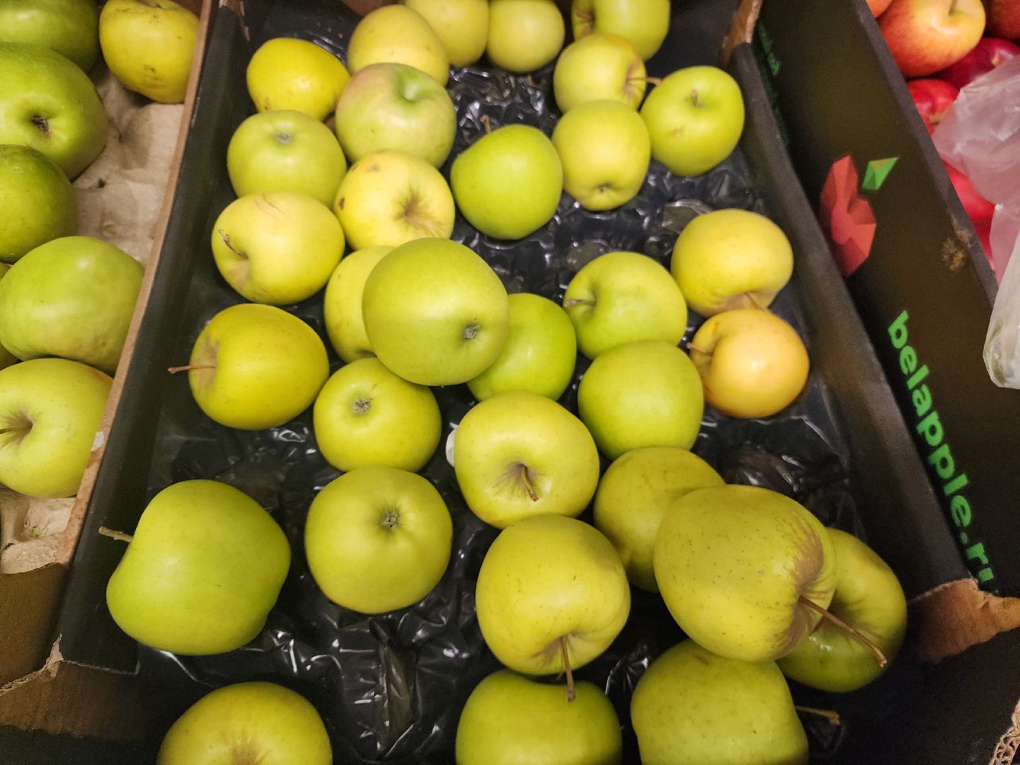 шатура, зож, правильное питание, новый год, 2024, городской округ люди,