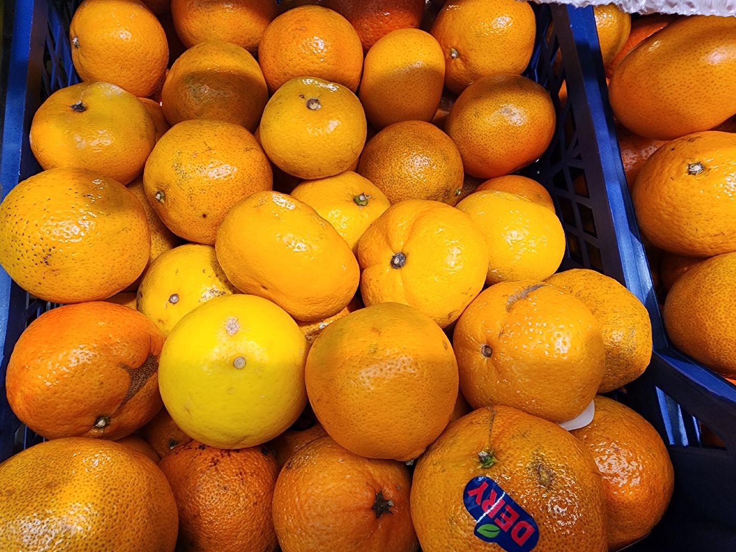 шатура, зож, правильное питание, новый год, 2024, городской округ люди,