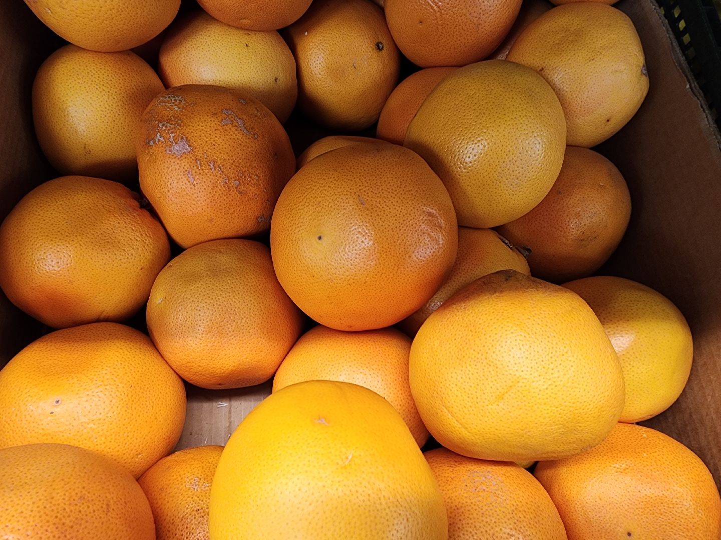 шатура, зож, правильное питание, новый год, 2024, городской округ люди,