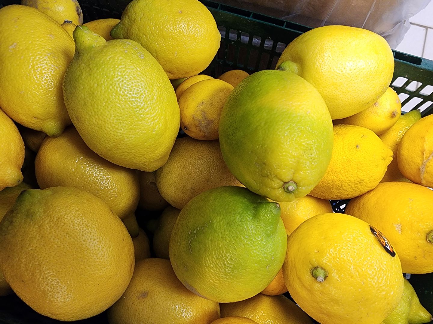 шатура, зож, правильное питание, новый год, 2024, городской округ люди,