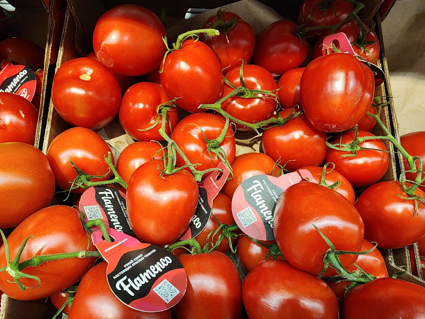 шатура, зож, правильное питание, новый год, 2024, городской округ люди,