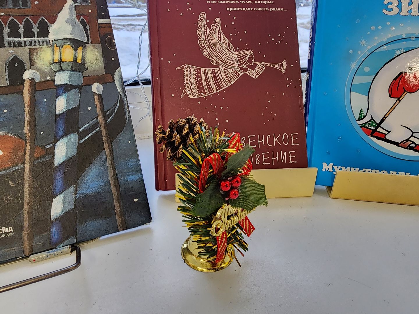 шатура, библиотека, библиотекарь, рейтинг, книги, чтение, городской округ люди, городской округ культура,