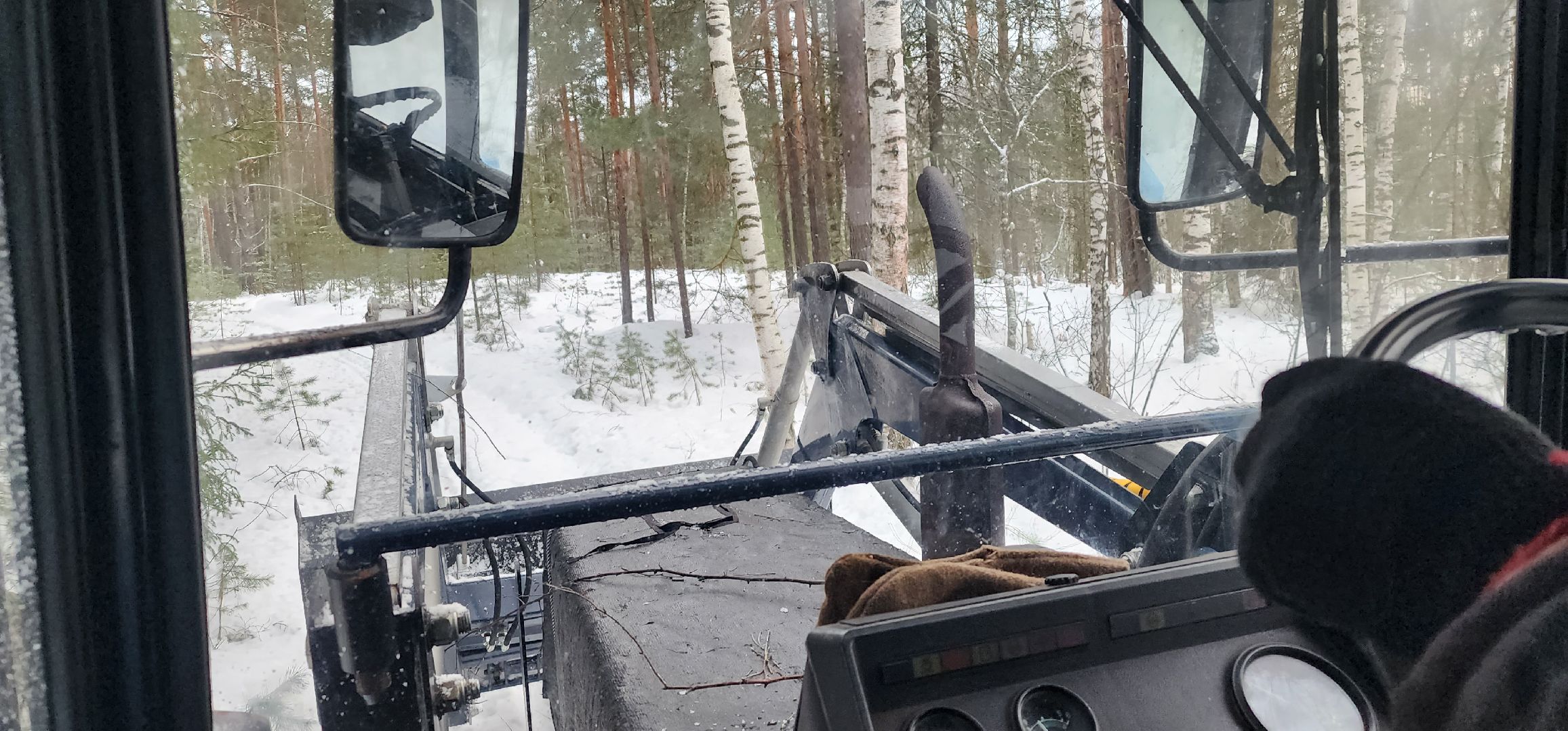 Рошаль, волонтер, лесные дорожки, прогулки в лесу, Большая Шатура,