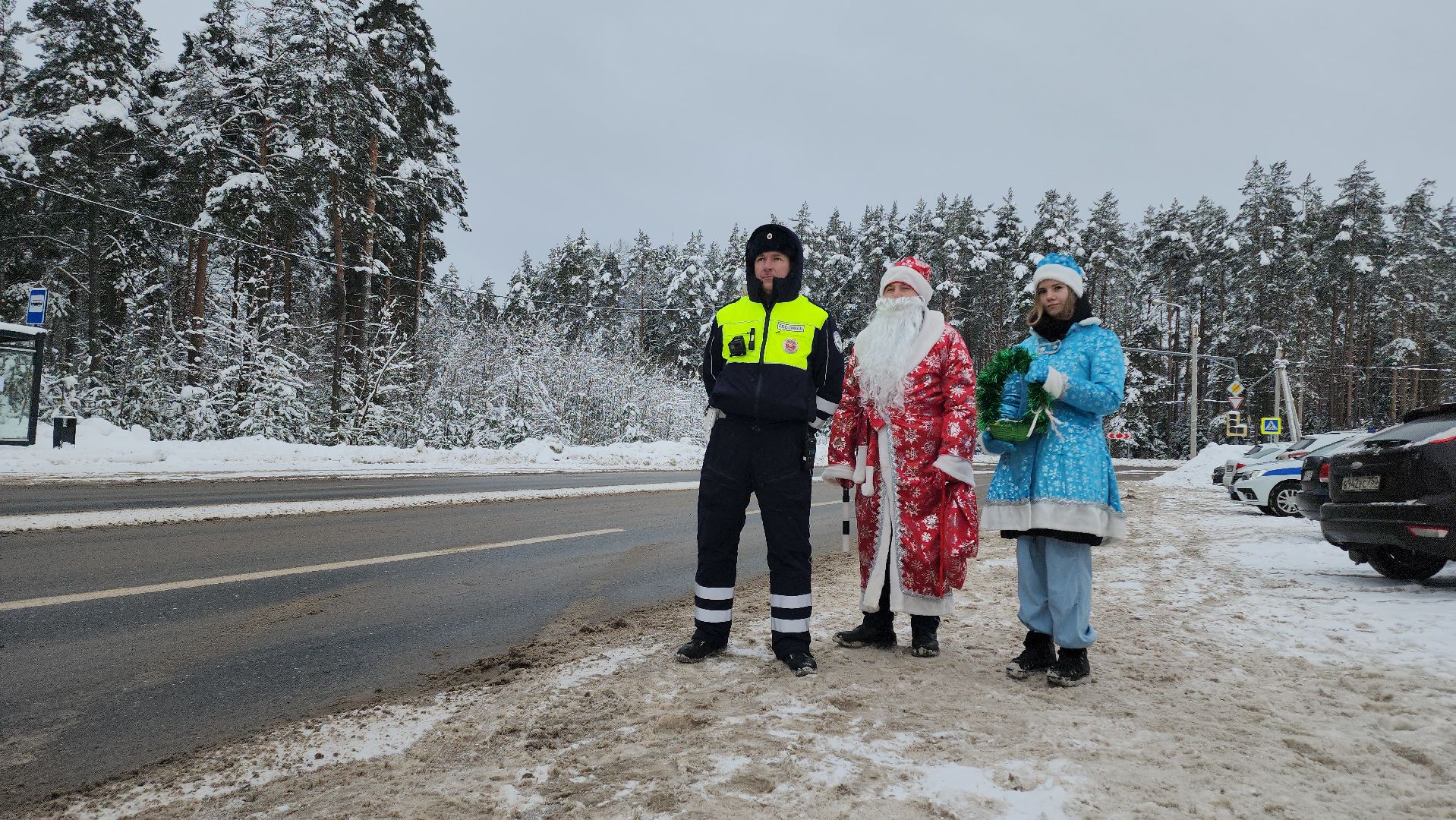 Трезвый водитель, госавтоинспекция, Егорьевск, Подмосковье, Московская область,