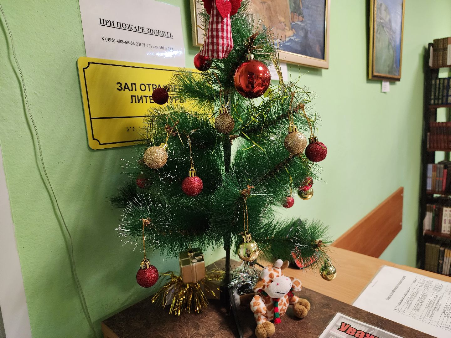 Долгопрудный, центральная библиотека, книги, музыка, классика, Клеменси Бертон-Хилл,