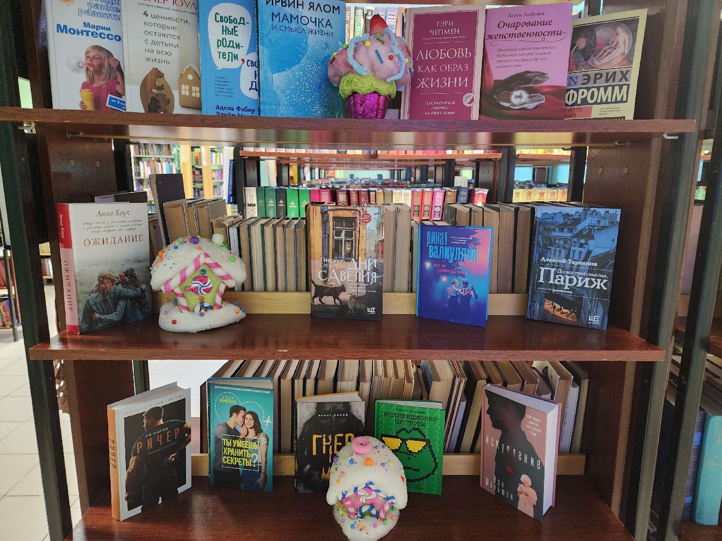 Долгопрудный, центральная библиотека, книги, музыка, классика, Клеменси Бертон-Хилл,