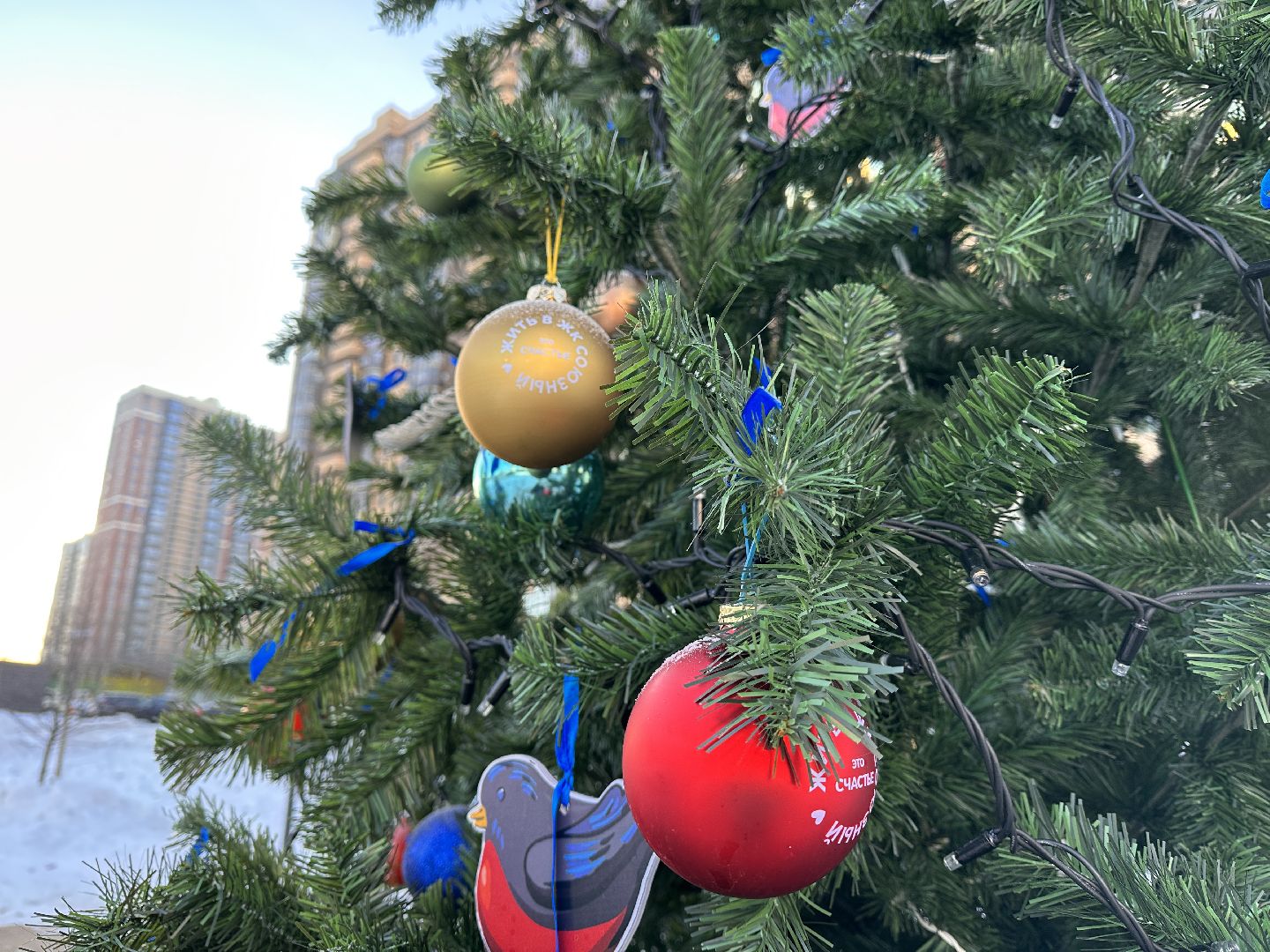 Одинцово, Сквер Союзный, парки подмосковья, зима в подмосковье,