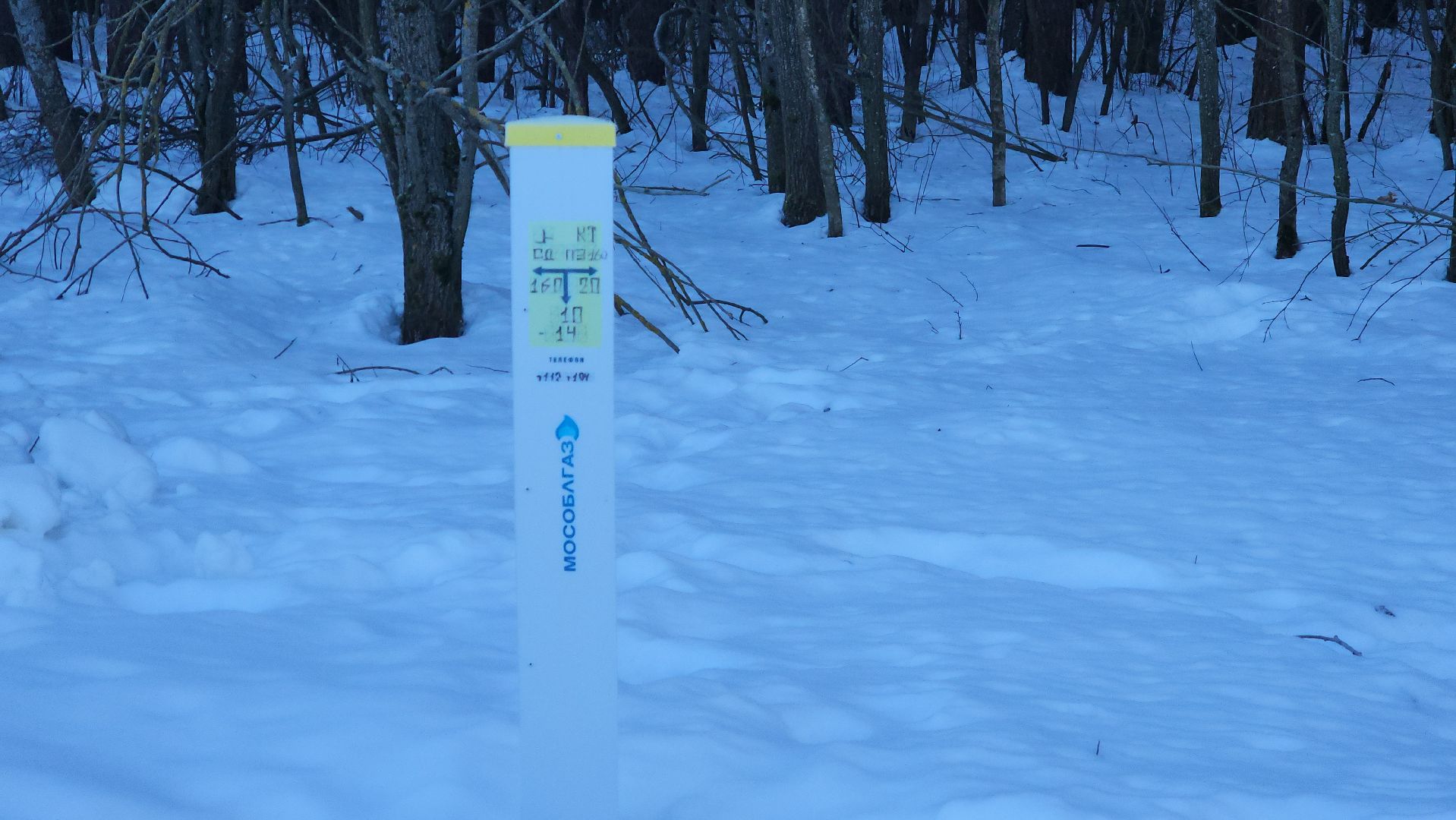 Борисово, городской округ павловский посад, Люди, Газ, программа, Деревня,