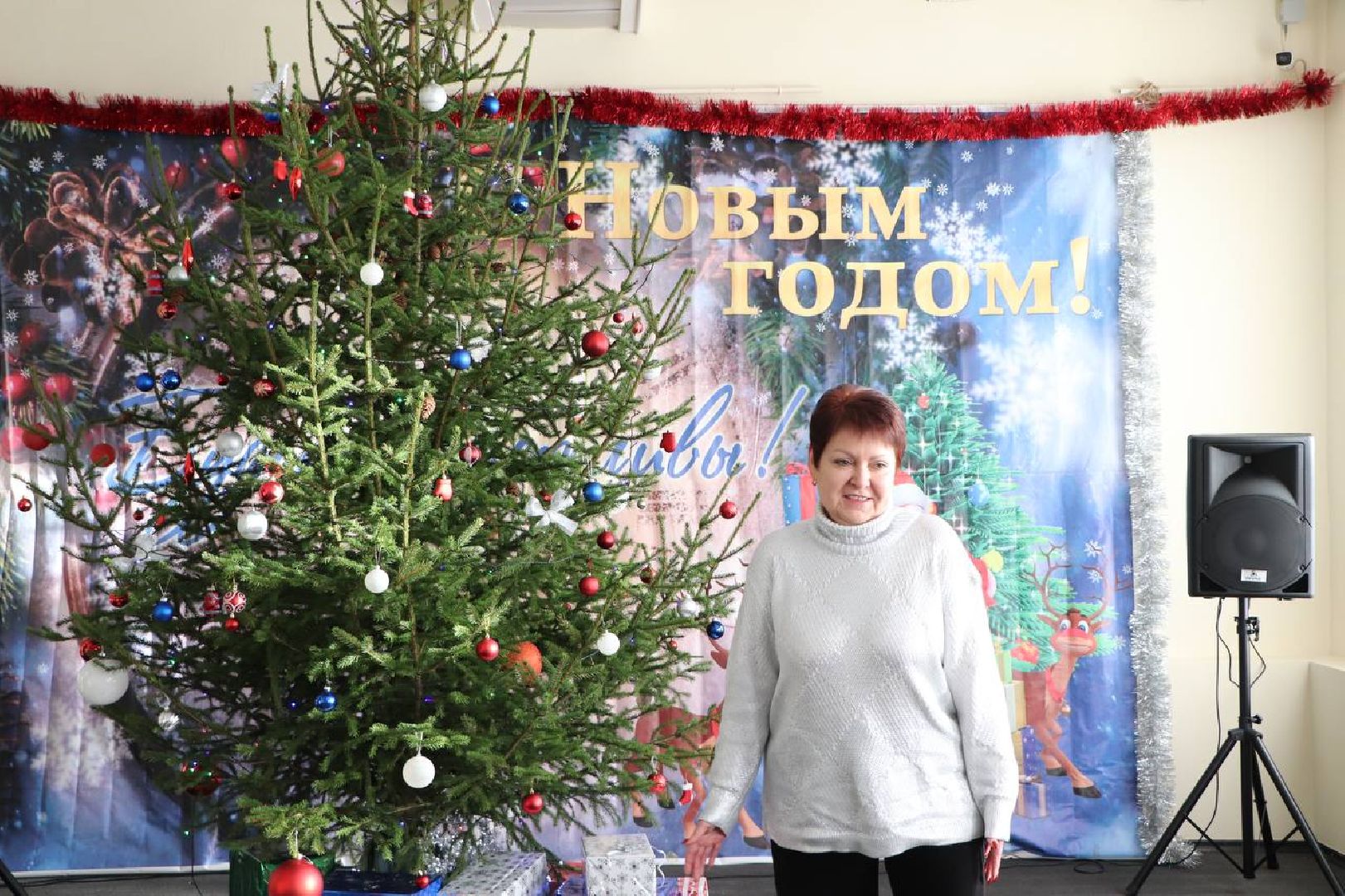 волоколамск, волоколамский кремль, новый год,